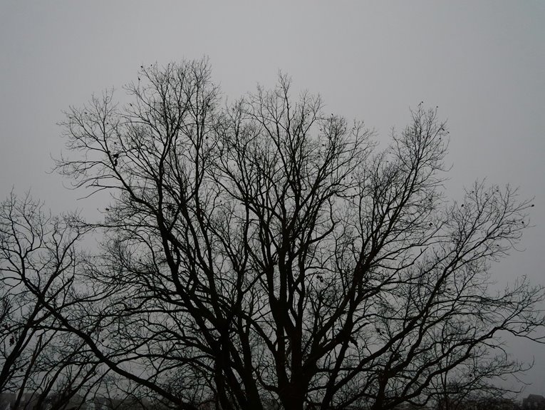 registry reference configuration outline